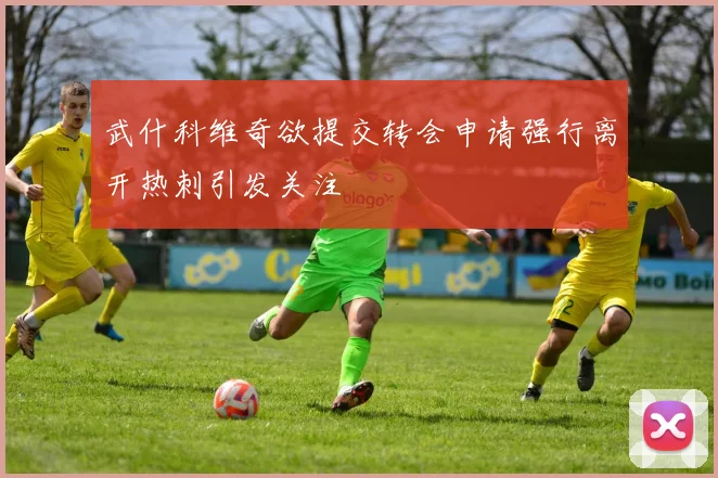 武什科维奇欲提交转会申请强行离开热刺引发关注