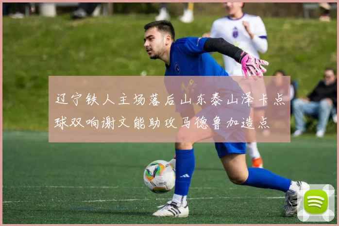 辽宁铁人主场落后山东泰山泽卡点球双响谢文能助攻马德鲁加造点